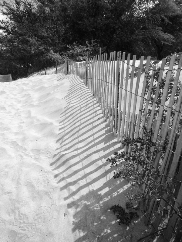 Fence Shadow